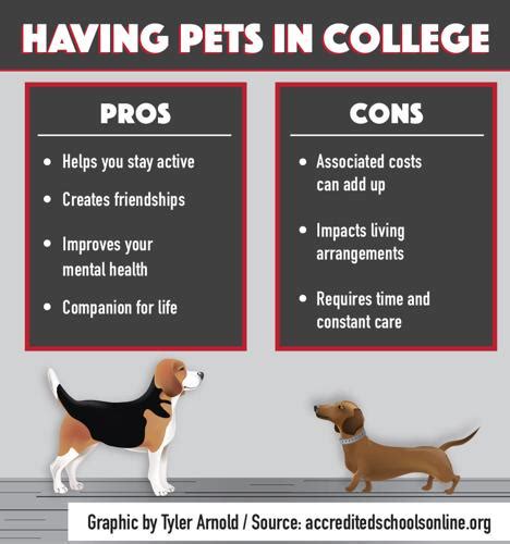 Should you get a dog while in college